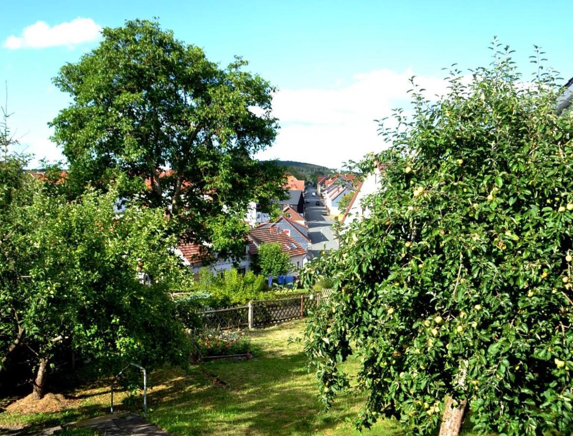 Frankenau Fewo Kellerwald Экстерьер фото