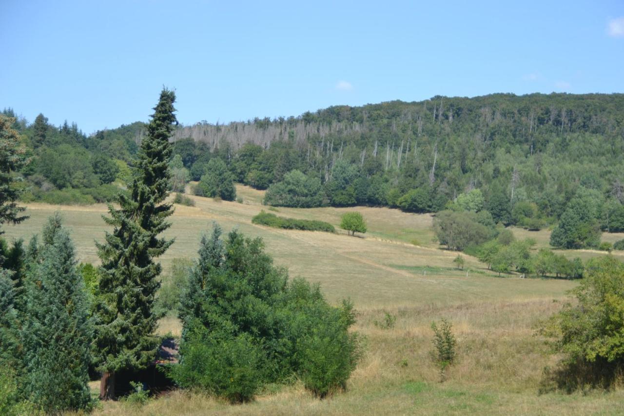 Frankenau Fewo Kellerwald Экстерьер фото
